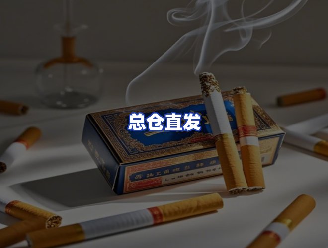 专业团队